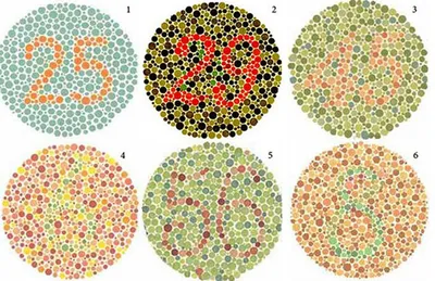 Онлайн-тест на дальтонизм | Тест на цветовосприятие на сайте АО  «МАКДЭЛ-Технологии»