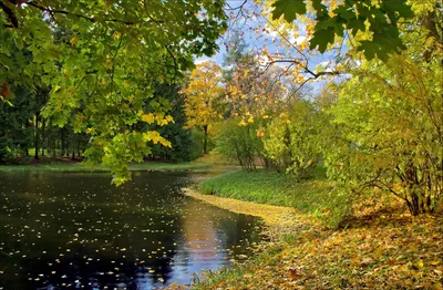 Фотообои Осень в Париже вид на Эйфелеву башню купить на стену • Эко Обои