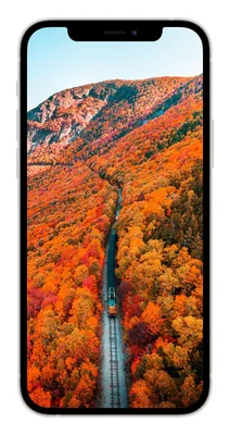 Обои на рабочий стол осень золотая на весь экран - фото и картинки  abrakadabra.fun