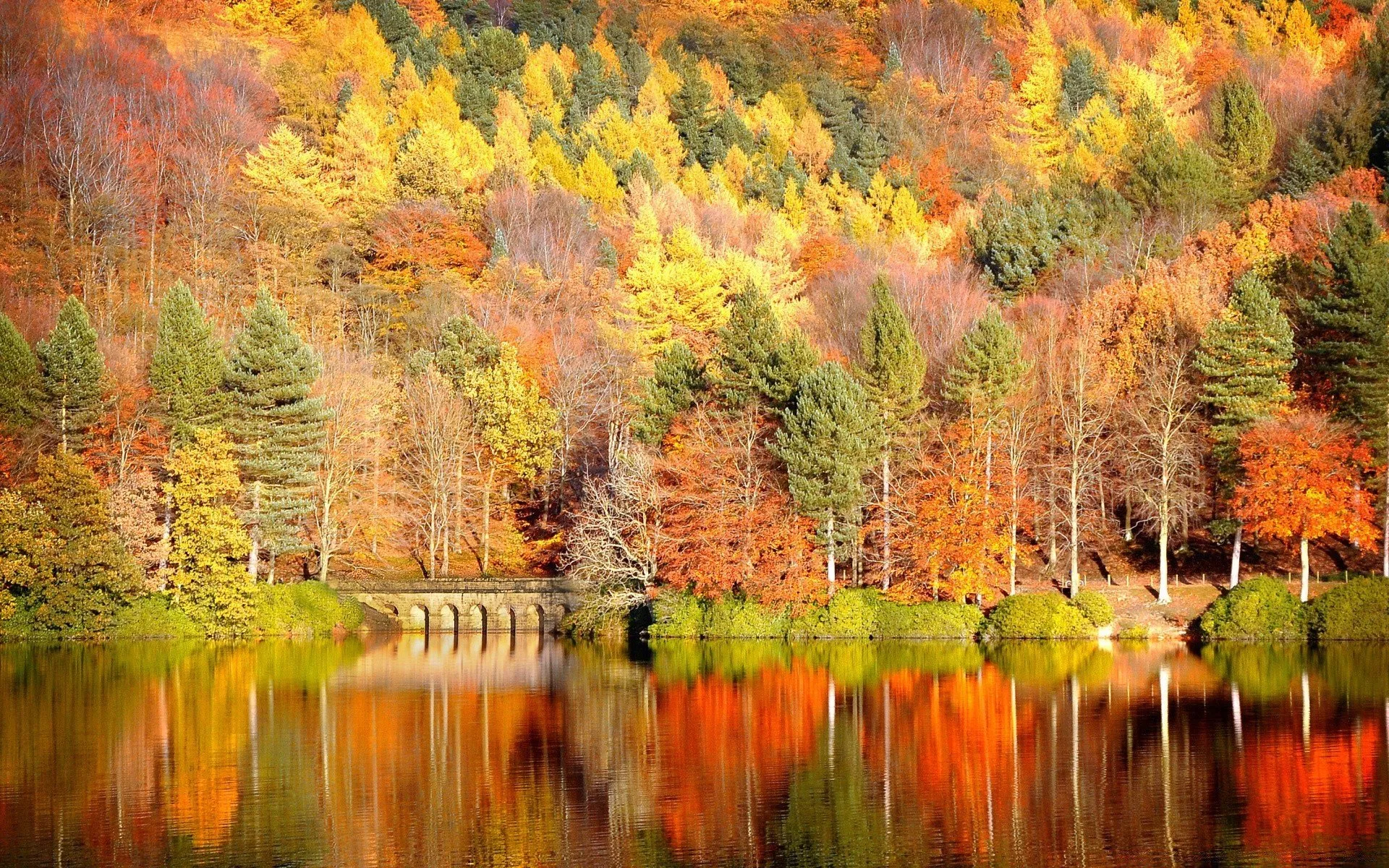 Resultado de imagem para осень обои на телефон | 紅葉 壁紙, 紅葉 景色, 紅葉 背景 Resultado de imagem para осень обои на телефон | 紅葉 壁紙, 紅葉 景色, 紅葉 背景
