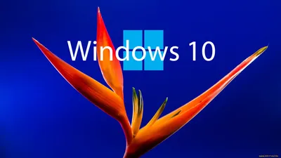 Обои Компьютеры Windows 10, обои для рабочего стола, фотографии компьютеры,  windows 10, логотип, фон Обои для рабочего стола, скачать обои картинки  заставки на рабочий стол.