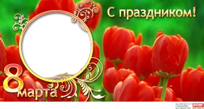 ВЫКЛ Зелёная кружка с фотопечатью «С праздником 8 марта!» — фотопечать  Папара.ру