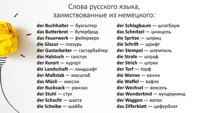 МЕЖДУНАРОДНЫЕ СЛОВА В НЕМЕЦКОМ ЯЗЫКЕ | Все для моих любимых студентов | Дзен