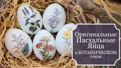 🥚 Пасхальные яйца — покраска и декор. Интересные идеи от Аймкук! | Рецепты  с фото и видео - только лучшее от Аймкук | Дзен