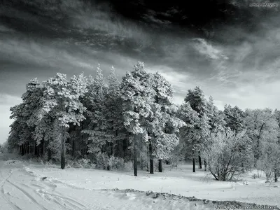 Картинки на рабочий стол 1280х768 фотографии