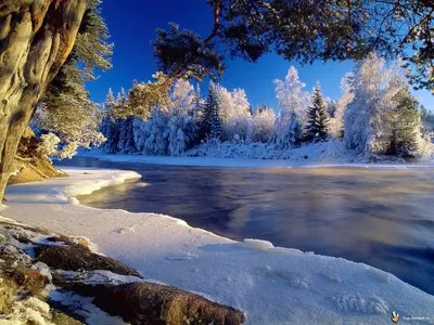 Beautiful Various Wallpaper pack 1280х768-1920х1440 611 шт (2010) скачать  через торрент 2024