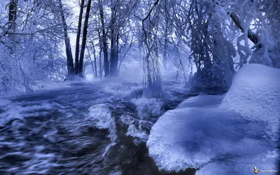Beautiful Various Wallpaper pack 1280х768-1920х1440 611 шт (2010) скачать  через торрент 2024