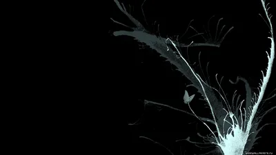 Черный фон, темные широкоформатные обои и HD обои для рабочего стола -  Страница 1