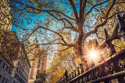 Обои New York Города Нью-Йорк (США), обои для рабочего стола, фотографии  new york, города, нью-йорк , сша, америка Обои для рабочего стола, скачать  обои картинки заставки на рабочий стол.