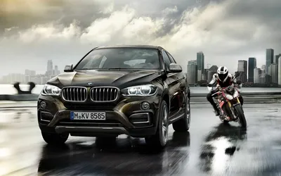 BMW X6 xDrive50i picture #94072 | BMW photo gallery | CarsBase.com