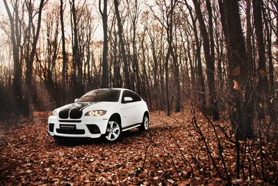 Обои для рабочего стола БМВ BMW X6 Автомобили