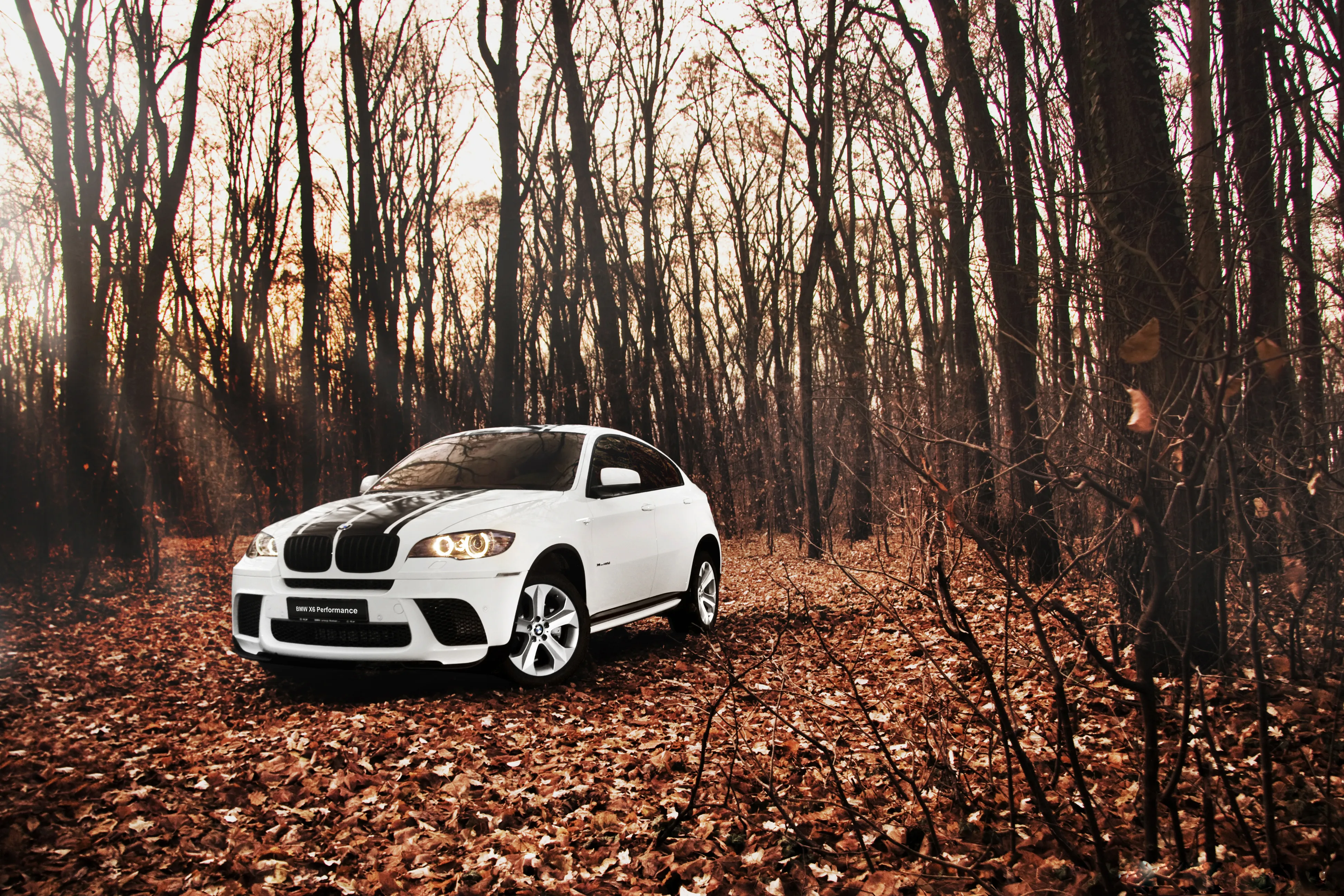 Обои для рабочего стола БМВ BMW X6 Автомобили Обои для рабочего стола БМВ BMW X6 Автомобили