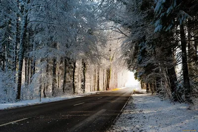 Обои Природа Дороги, обои для рабочего стола, фотографии природа, дороги,  зима, дорога, деревья Обои для рабочег… | Живописные пейзажи, Пейзажи,  Фотография природы