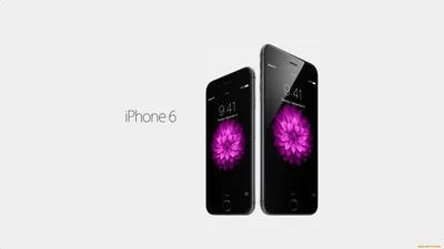Обои Бренды iPhone, обои для рабочего стола, фотографии бренды, iphone,  фон, цветы, смартфон Обои для рабочего стола, скачать обои картинки  заставки на рабочий стол.