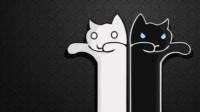 Коты 13 (1920x1080) (30 обоев)