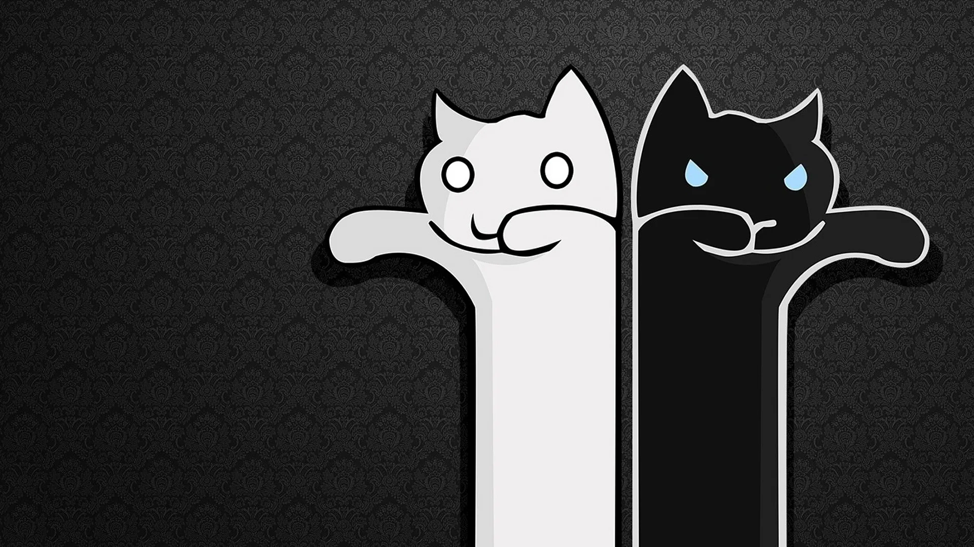 Коты 13 (1920x1080) (30 обоев) Коты 13 (1920x1080) (30 обоев)
