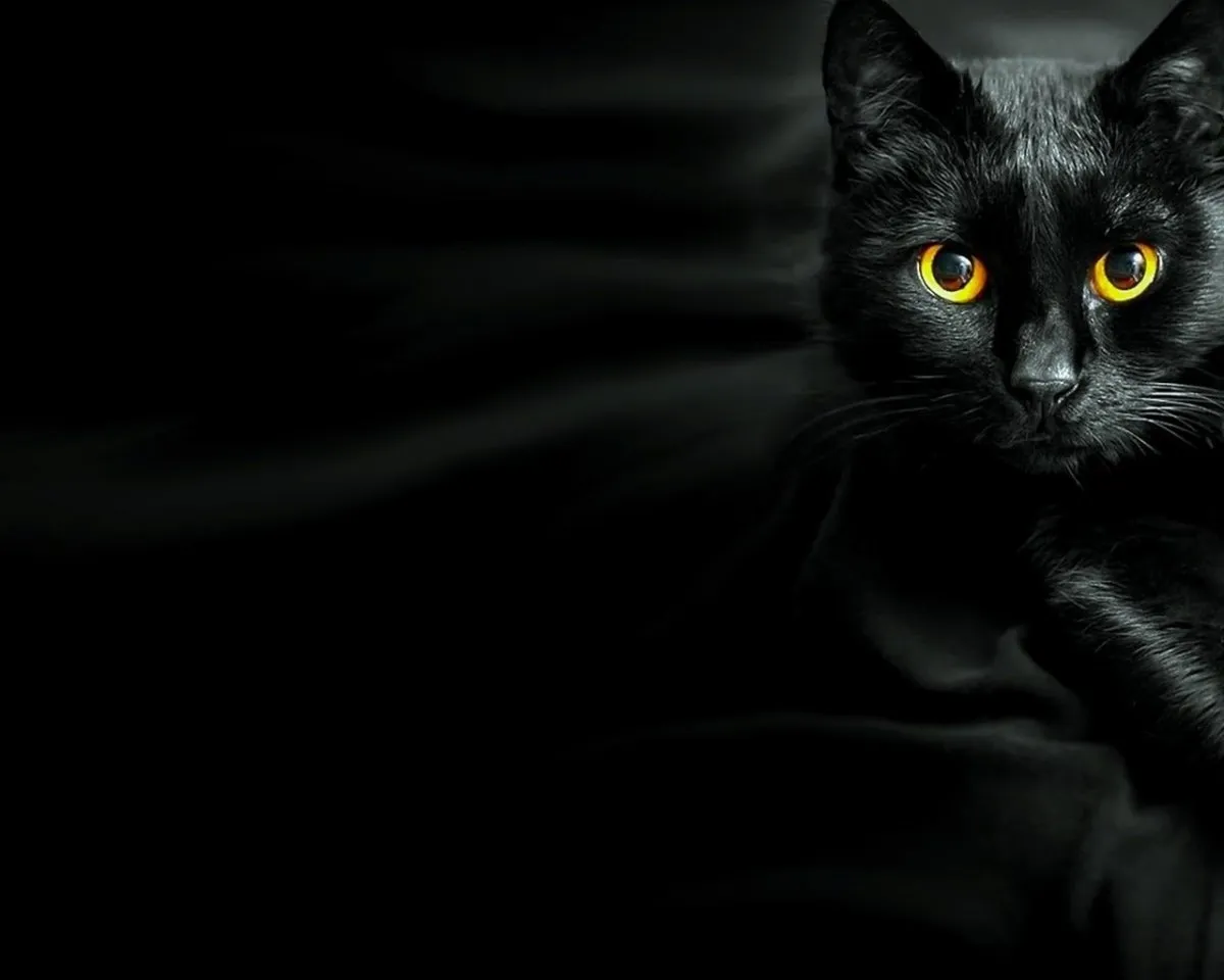 Обои для рабочего стола Кошки Животные Рисованные 1920x1080 Обои для рабочего стола Кошки Животные Рисованные 1920x1080