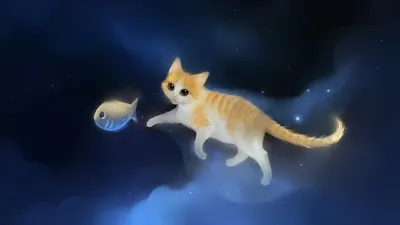 Смешной кот обои - 70 фото