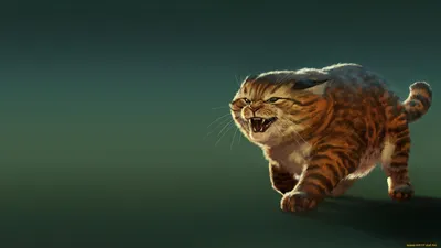 Обои для рабочего стола Бенгальская кошка кот Хвост Животные