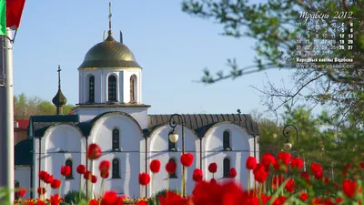 Обои на рабочий стол Надпись MAY / Май заросла цветами, вокруг порхают  бабочки, обои для рабочего стола, скачать обои, обои бесплатно