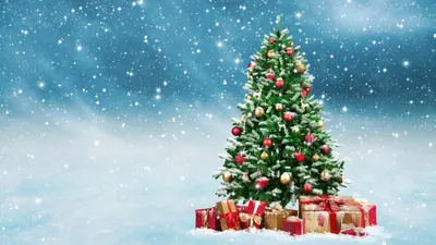 Обои \"Зима и Новый год\" на рабочий стол: самые яркие! | Christmas tree  images, Beautiful christmas trees, Beautiful christmas