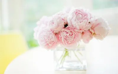 Фон рабочего стола где видно розовые пионы, цветы, букет, красивые обои,  pink peonies, flowers, bouquet, beautiful wallpaper