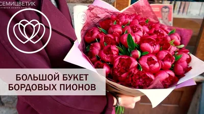Красивые обои на рабочий стол цветы - 71 фото