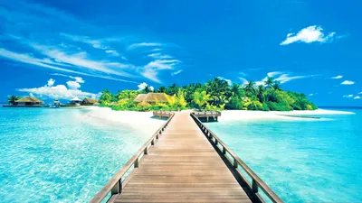 Mobile wallpaper: Landscape, Sea, Palms, Beach, 19373 download the picture  for free.