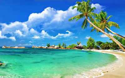 Обои пляж, ночь, море, небо картинки на рабочий стол, фото скачать бесплатно