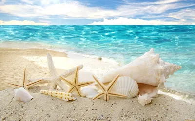 Anna Maria Island - A Tropical Destination on Floridas Southwest Coast