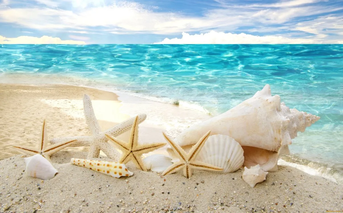 Anna Maria Island - A Tropical Destination on Floridas Southwest Coast Anna Maria Island - A Tropical Destination on Floridas Southwest Coast