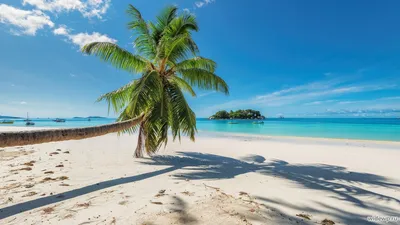 Wallpaper Sea, Beach, Ocean, Coast, Shore, Background - Download Free Image