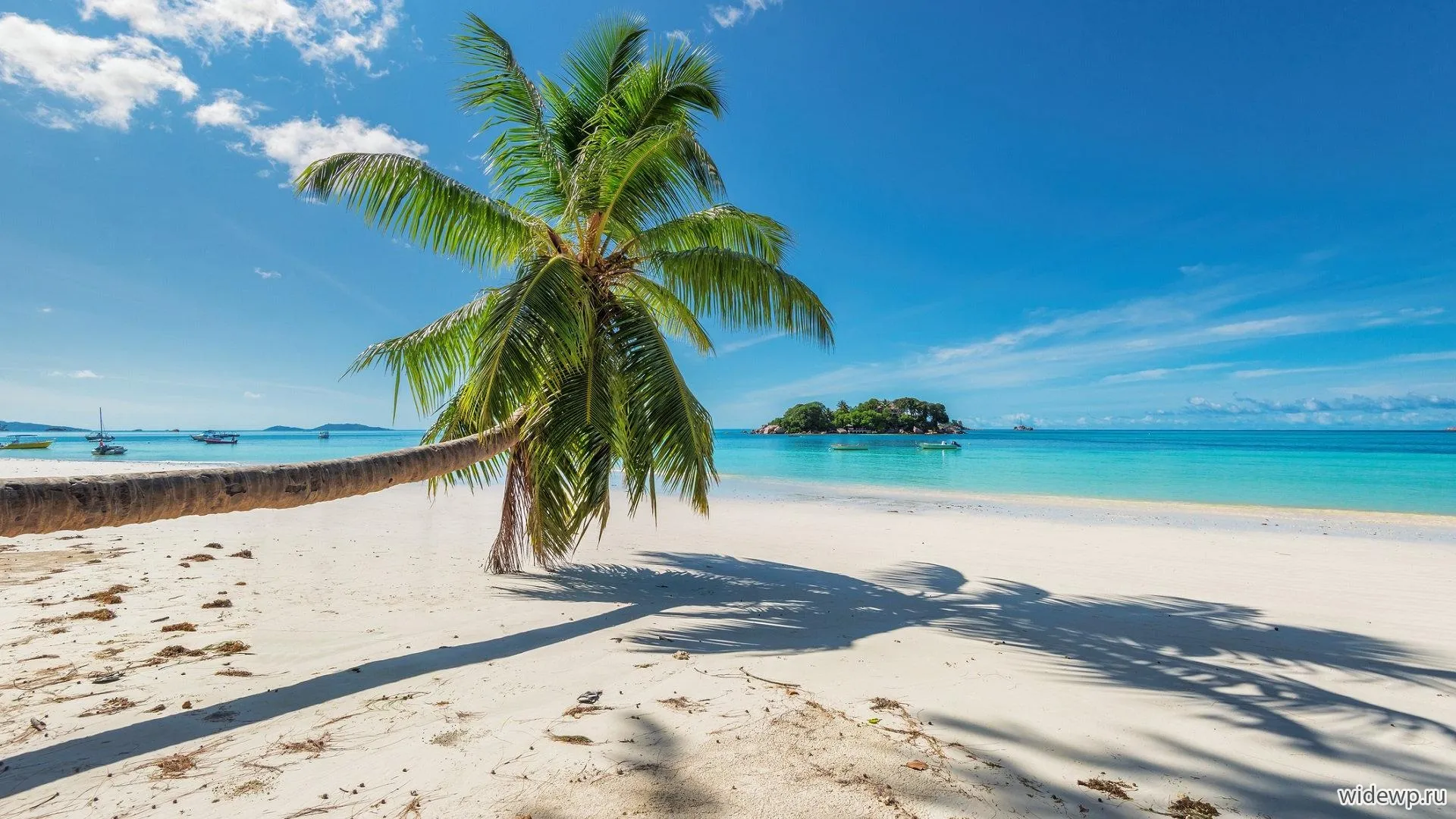 Wallpaper Sea, Beach, Ocean, Coast, Shore, Background - Download Free Image Wallpaper Sea, Beach, Ocean, Coast, Shore, Background - Download Free Image