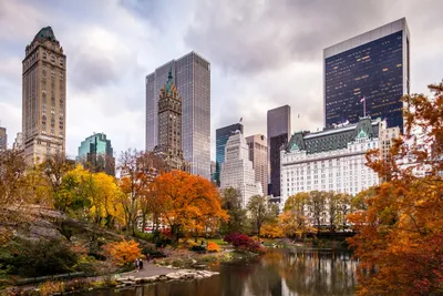 Обои на рабочий стол Центральный парк города Нью-Йорк / New York, США /  USA, обои для рабочего стола, скачать обои, обои бесплатно