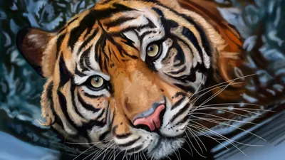 Тигры, тигрицы и тигрята - фото и обои, tigers wallpapers