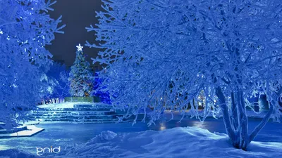 Красивые новогодние обои - 68 фото