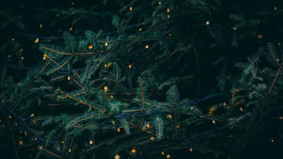 Красивые новогодние обои - 65 фото