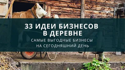 33 идеи самых выгодных бизнесов в деревне на сегодняшний день