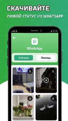 WhatsApp Status 1.85 - Скачать для Android APK бесплатно