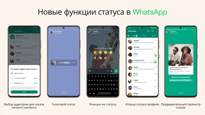 2021 Все о архивах WhatsApp, вы должны знать