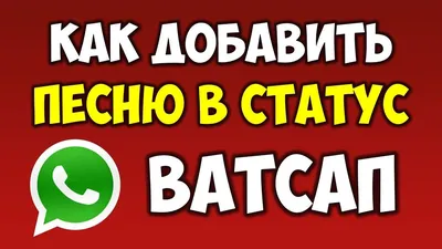 Как переслать статус из WhatsApp в Facebook, Instagram, Telegram, Viber и  т.д. | DonBao | Дзен