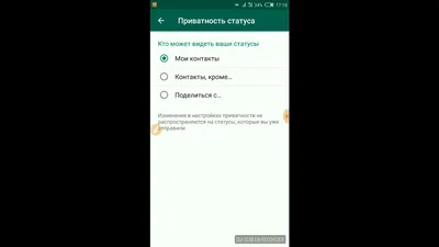 Как скрыть свой статус WhatsApp для выбранных контактов - Hi-Tech Mail.ru