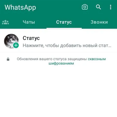 Контакты из чёрного списка WhatsApp могут просматривать ваш статус