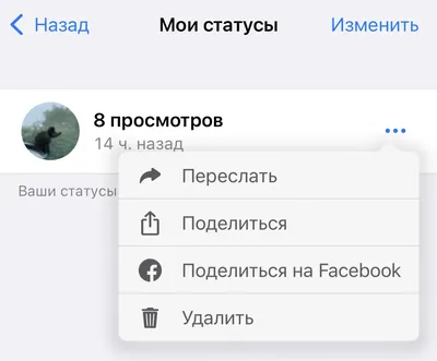 Как скачать статус WhatsApp с приложениями и без них