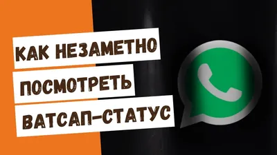 Как заработать на статусах в WhatsApp?