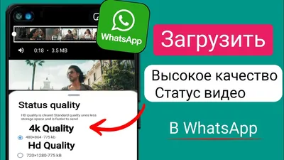 Бесплатные опросы и голосования в ватсапе | Chat2Desk.com