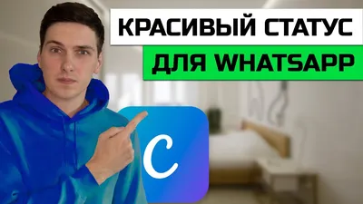 Бизнес-аккаунт WhatsApp: полная инструкция по использованию