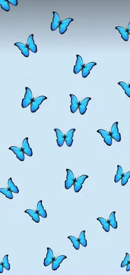 Бабочка | Blue butterfly wallpaper, Cute patterns wallpaper, Butterfly  wallpaper iphone