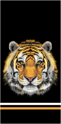 Background for the phone \"Tiger\". Фон для телефона \"Тигр\". | Фон для  телефона, Тигр, Фон