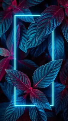 Красивые обои для телефона в 4K и UltraHD созданные нейросетью